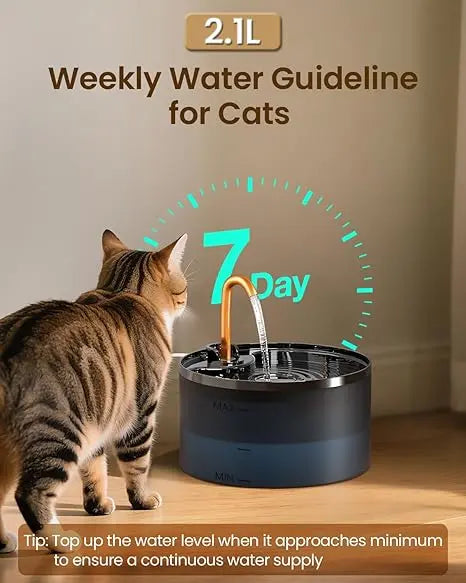 Cat Water Fountain: Dog Bowl Fountains - Automatic Pet Dispenser - Dogs Drinking Waterer Bowls Indoor - Auto Watering Dish Supplies - Easy Cleaning Animal Machine - Quiet 67Oz/2L Kitty Drink Fountain